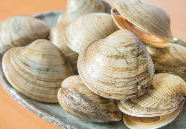 clams for barbecue ingredients