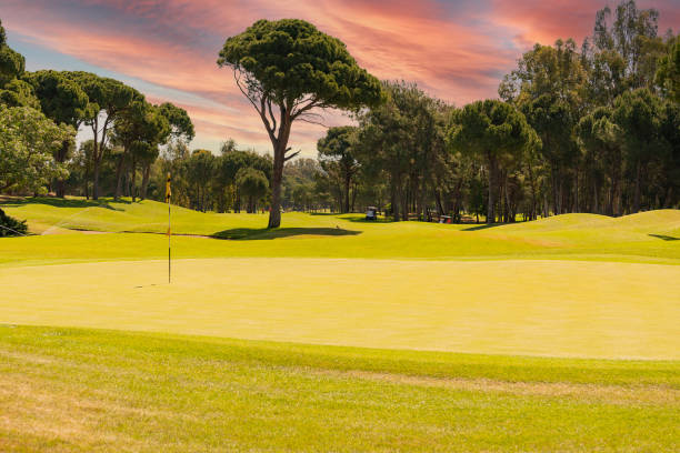 istock Flag and hole on a golf course on a sunny day 1412591079