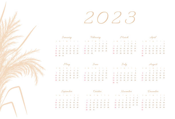 stockillustraties, clipart, cartoons en iconen met calendar 2023 with pampas grass. week starting on sunday. floral border frame. flat minimal desk or wall picture design. vector template - dry january