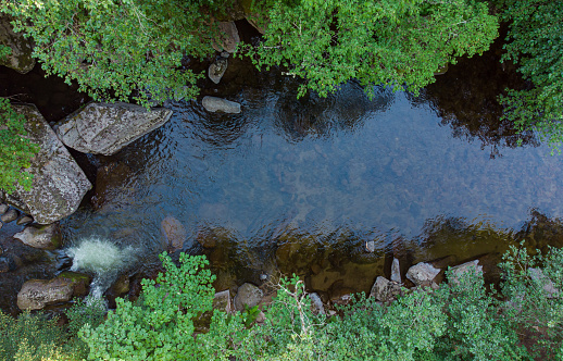Aerial top view of a stream in the forest in Rhodope Mountains near the town of Devin.