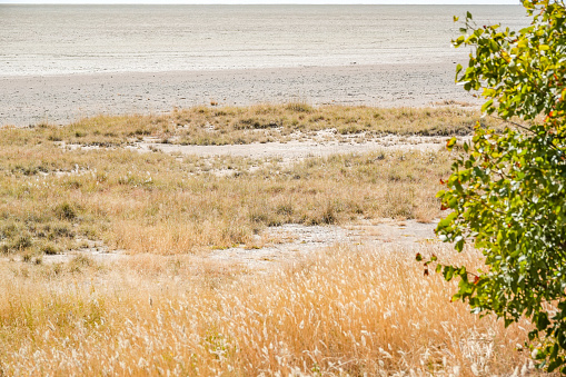 Etosha Salt Pan at Etosha National Park in Kunene Region, Namibia