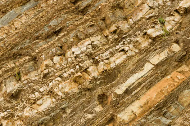 Photo of Cross section texture of large composite rock