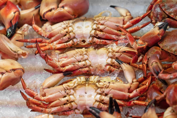 Crabs seafood on the ice, Norway