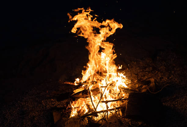 istock Flame of burning campfire, night view 1412604356