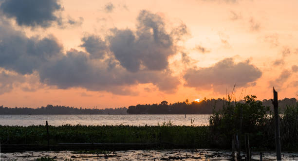 istock Sunset over a tropical lake with lotus flowers 1412605701