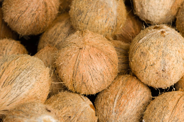 istock Pile of fresh peeled coconuts on display for sale 1412606361