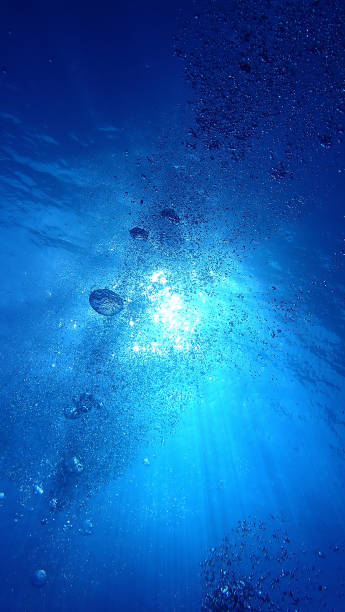 istock Abstract underwater art in the deep blue sea 1412606509