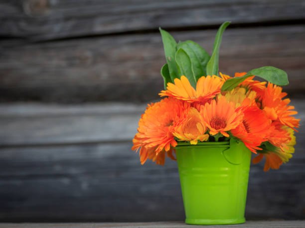 istock a pot of calendula on a wooden table, a place for text 1412607792