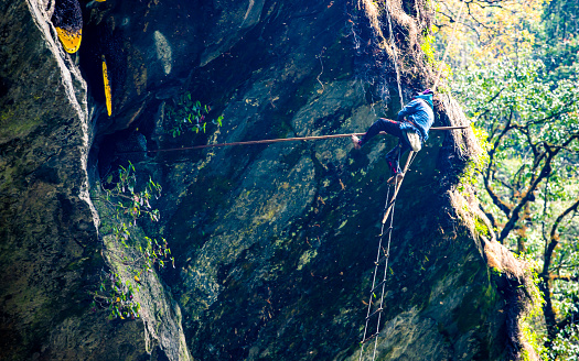 honey hunter climb rope to harvesting wild honey in cliff of mountain rock at kaski, Nepal, on  Thursday April 11, 2019