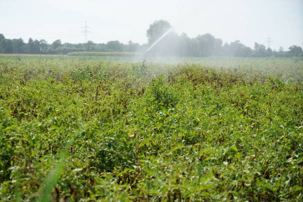 istock climate change lead to dryness 1412608065