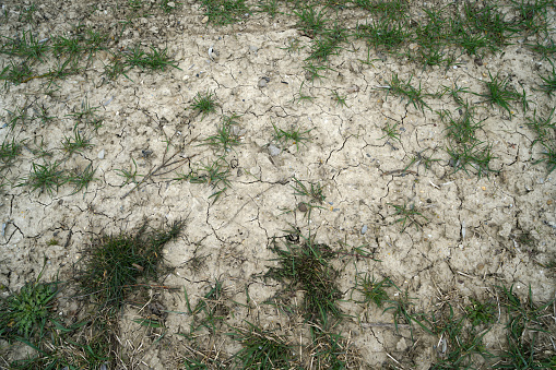 climate change lead to dryness and drought at high temperatures