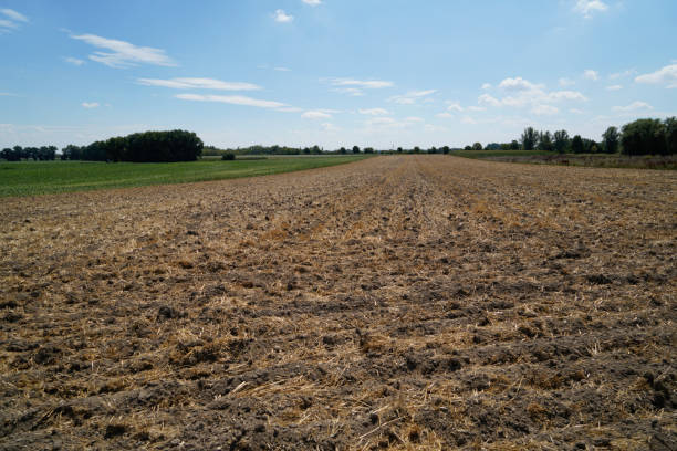 istock climate change lead to dryness 1412609328
