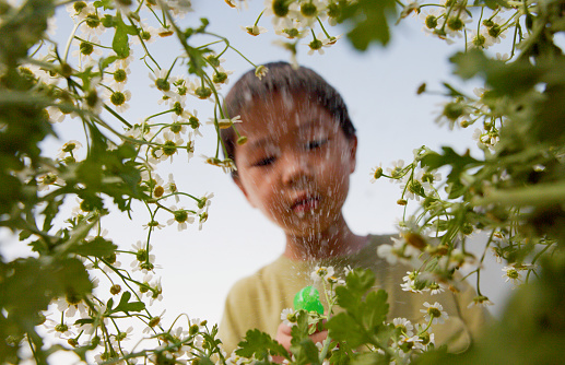An Asian boy, about 4 years old, wearing a green T-shirt, watered the flowers in front of the flower bed