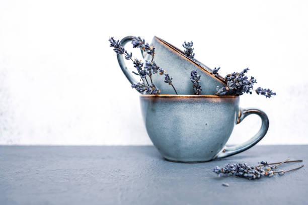 istock Ceramic cups with dry lavender flowers on gray background.Side view, space for text. Beautiful table setting. 1412610780