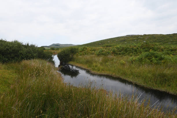 A pond on the Gower National Landscape in Glamorgan, Wales