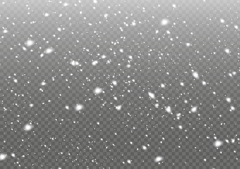 Snow. Vector heavy snowfall, snowflakes in various shapes and forms. Many white cold flakes elements on a transparent background. White snowflakes are flying in the air. snow background.