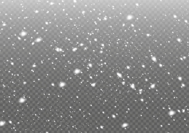 snow light Snow. Vector heavy snowfall, snowflakes in various shapes and forms. Many white cold flakes elements on a transparent background. White snowflakes are flying in the air. snow background. snowing stock illustrations