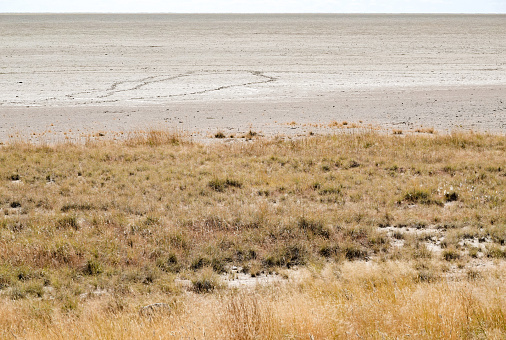 Etosha Salt Pan at Etosha National Park in Kunene Region, Namibia