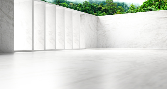 Abstract background of Empty concrete wall and floor with trees. 3d rendering.