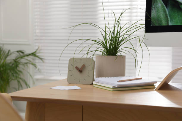 istock Notebooks, clock and houseplant on table in room 1412621768