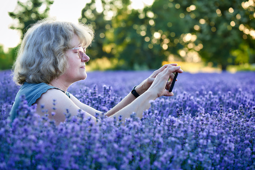A woman in a field of lavender (Lavandula sp.), taking photos with a smartphone.