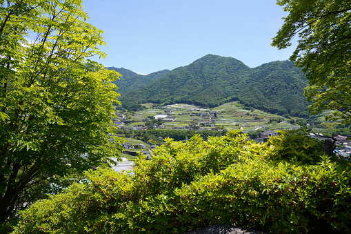 Early summer scenery of suburban hills in Yamanashi