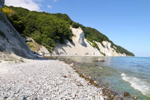 istock Limestone white cliffs off the Danish coast at Mons Klint 1412623745