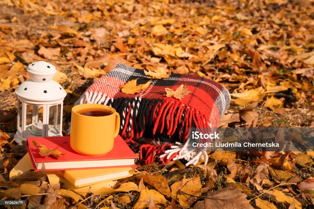 Plaid, cup of tea, lantern and books in park on sunny autumn day Autumn Stock Photo