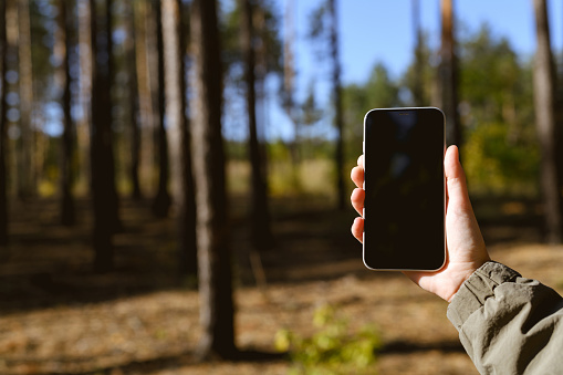 Partial shot of woman holding mobile phone in forest