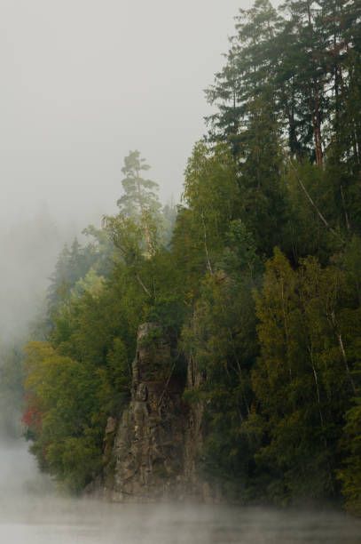 istock Riverbank at dawn with trees on rocks covered in thick fog 1412628321