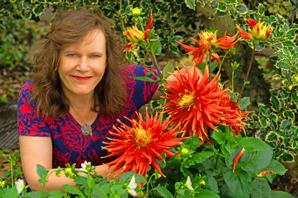 istock Adele's Red and Yellow Explosion Dahlias. 1412628679