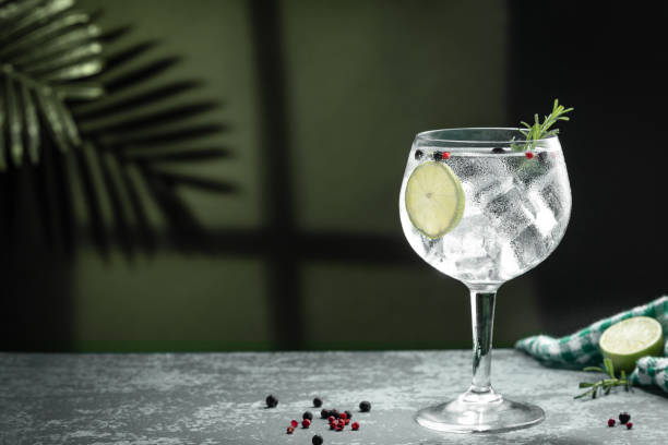 Gin tonic cocktail and shadows next to the window  on dark concrete background. Gin tonic cocktail and shadows next to the window  on dark concrete background. gin stock pictures, royalty-free photos & images