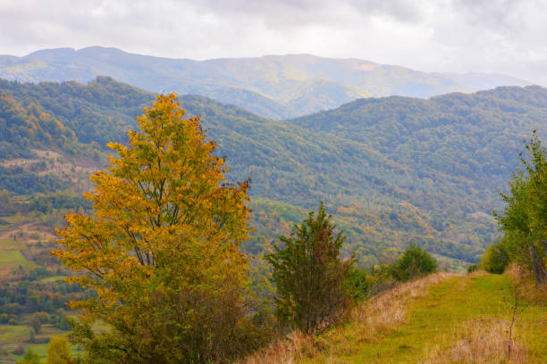 istock countryside landscape in mountains 1412633410