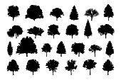Detailed tree silhouettes of various trees on white background