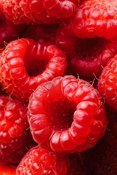 istock Raspberries close up macro of fruit berries 1412633713