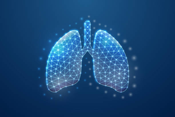 istock Lungs 3d symbol in blue low poly style. Respiratory system, human transplantation design concept illustration. Organ anatomy polygonal wireframe. 1412633761