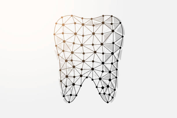 istock Tooth 3d low poly symbol with connected dots. Dentistry service, dental care design vector illustration. Stomatology polygonal wireframe 1412633980