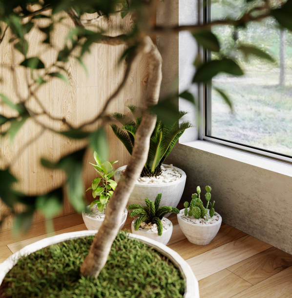 istock 3d rendering. Interior of a modern living room studio with a houseplants 1412634144