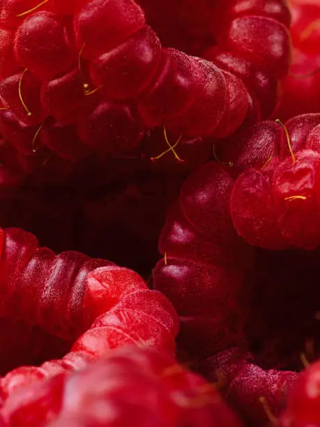 Raspberries close up macro of fruit berries
Photo taken with strobe indoors