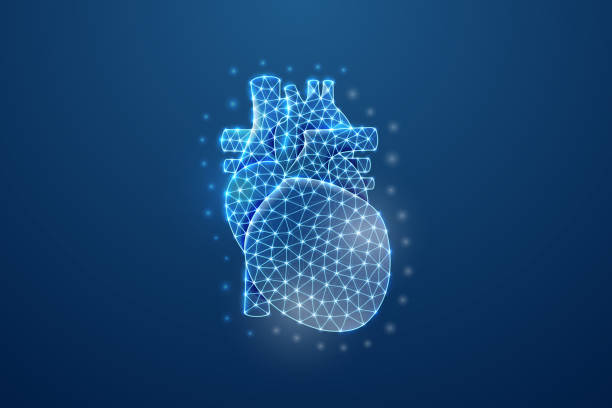istock Heart 3d symbol in blue low poly style. Cardiology, human transplantation design concept illustration. Internal organ polygonal wireframe. 1412634198