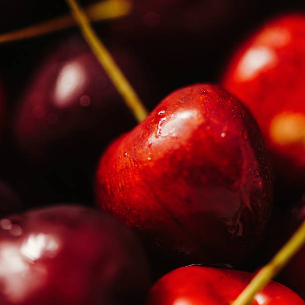 Cherries wild cherries close up macro of fruit