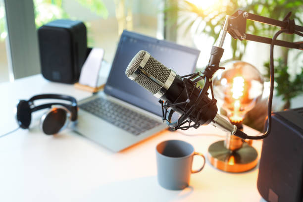 istock A microphone, a laptop, and a fast connection. That's all you need to become a professional podcaster. 1412635022
