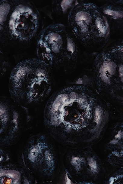 Blueberries  close up macro of fruit berries