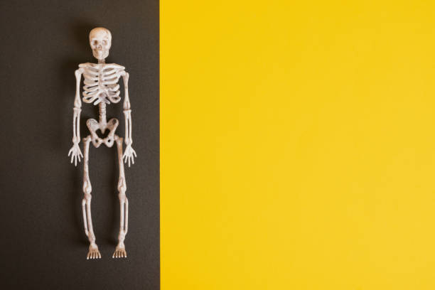 istock plastic decorative skeleton on black and yellow background copy space 1412635161