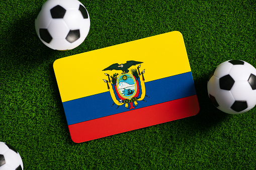 Flag of Ecuador. Football balls on a green lawn.