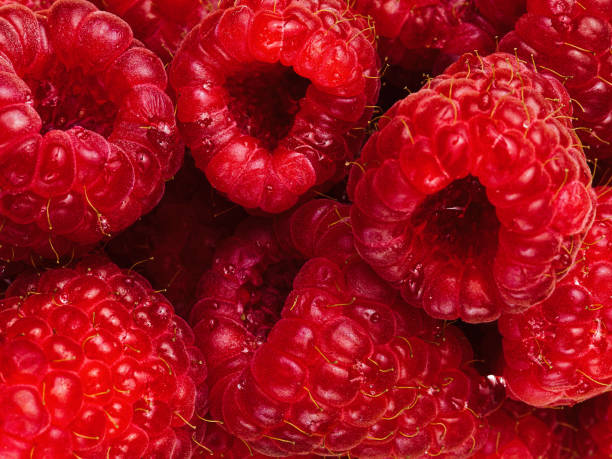 istock Raspberries close up macro of fruit berries 1412635665
