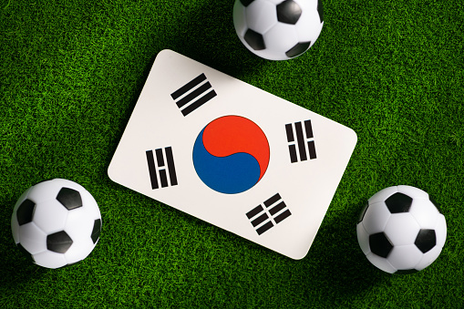 Flag of Korea. Football balls on a green lawn.