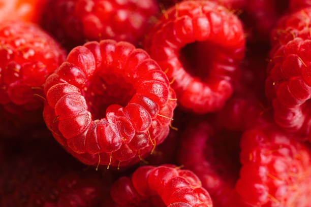 Raspberries close up macro of fruit berries stock photo
