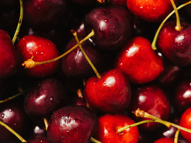 istock Cherries wild cherries close up macro of fruit 1412637016