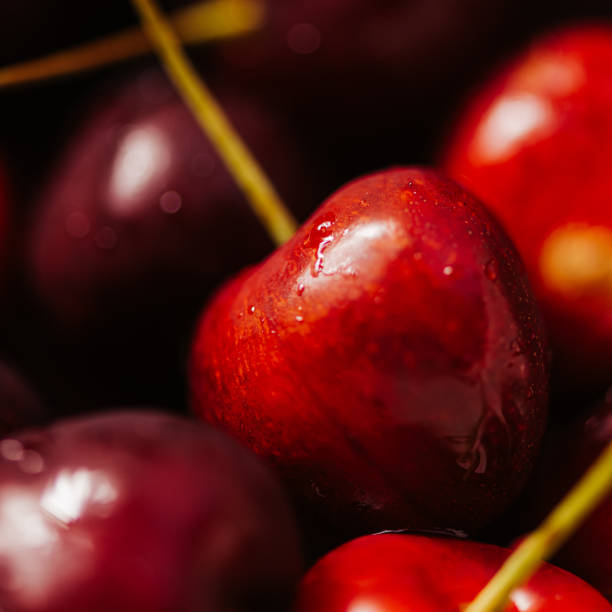 istock Cherries wild cherries close up macro of fruit 1412637085